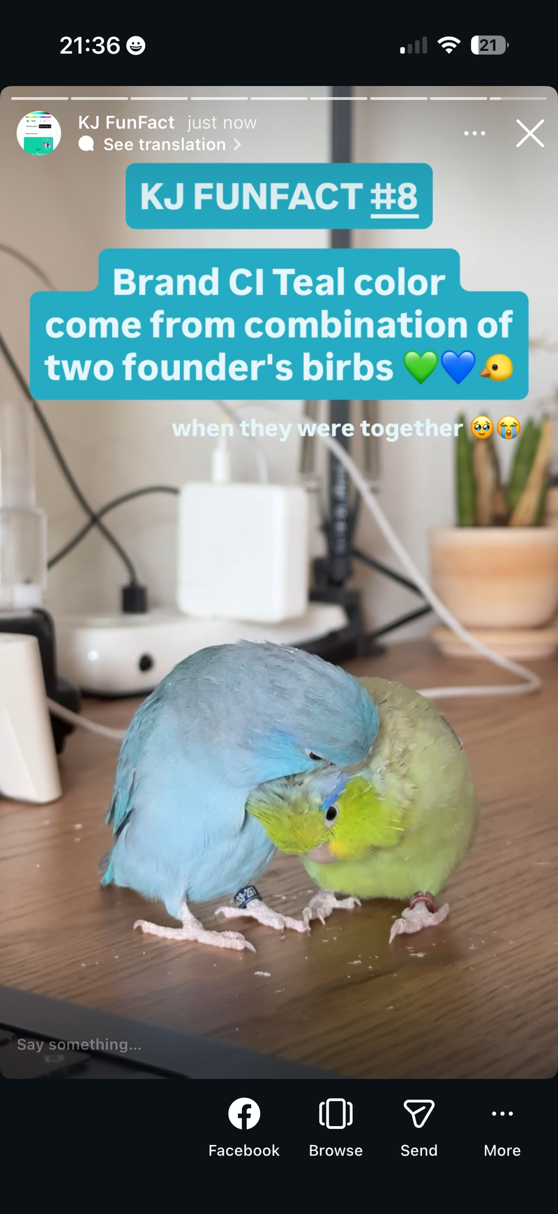 Why Teal color 💚💙 ?